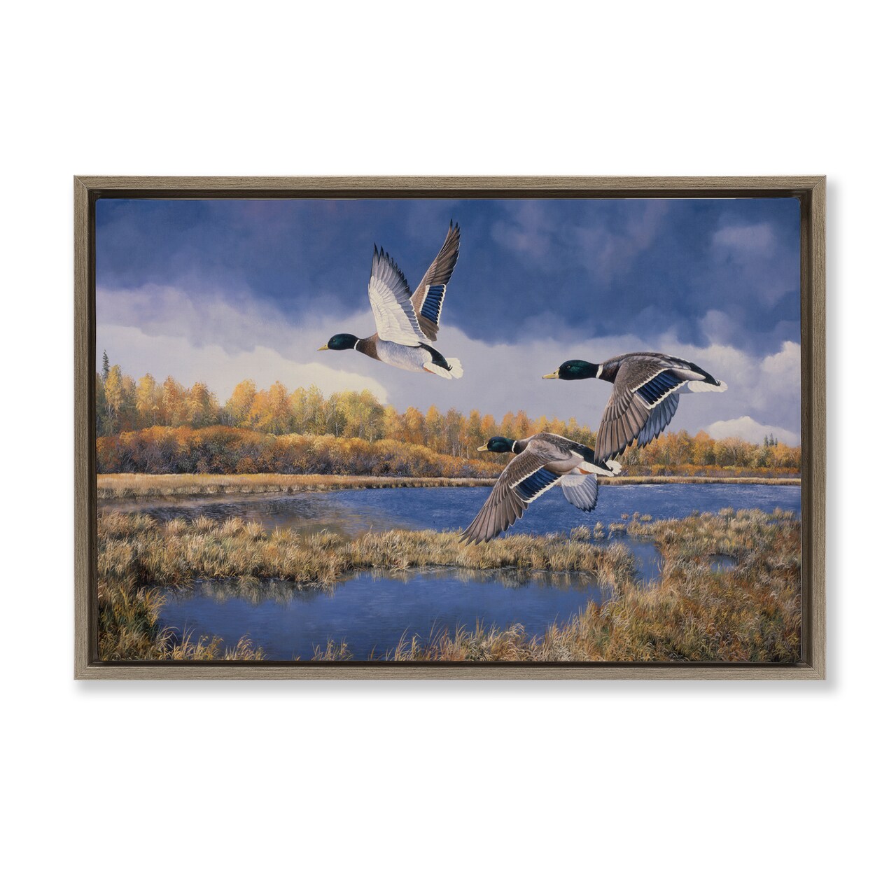 Stupell Industries Ducks Heading South Framed Floater Canvas Wall Art Design by Andrew Kiss